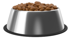 Cibo secco per animali
